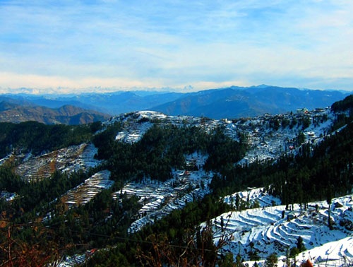 Rocky Knob Shimla