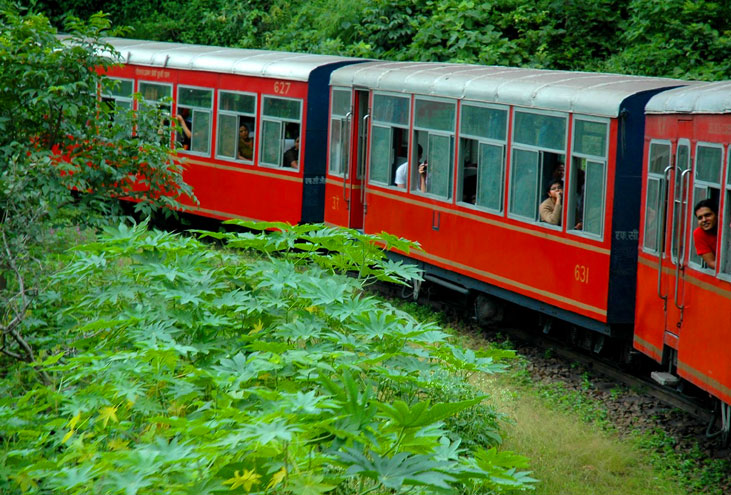 Rocky Knob Shimla